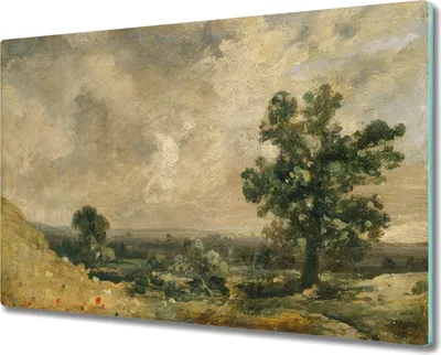 Produktbild von Glas Schneidebrett Herdabdeckplatten Schneideplatten - 80x52 cm - Bewölkter Himmel