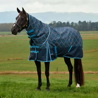 Image de Weatherbeeta Comfitec Heritage Turnout Detach-A-Neck 220g - Taille 155