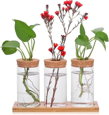 Vase, Hauptbild