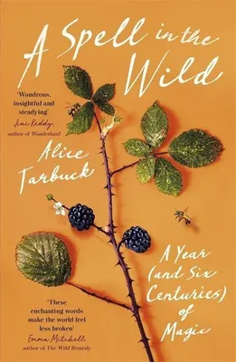 Produktbild von A Spell in the Wild