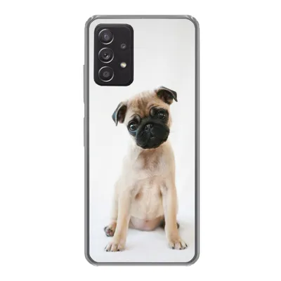 Produktbild von MuchoWow® Handyhülle Schutzhülle Hülle für Samsung Galaxy A33 5G Hund - Haustiere - Porträt Silikon Softcase Handy Hülle - Kartenhalter