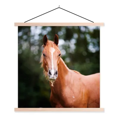 Produktbild von MuchoWow® Textilposter Pferd - Licht - Gras 40x40 cm mit holzfarbenen Rahmen - Posterleiste