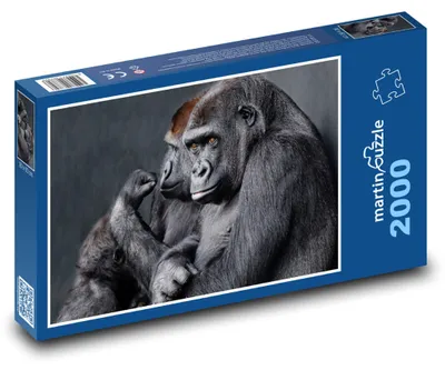 Obrázek produktu pro Puzzle 2000 Rodina goril v přírodě - martinpuzzle