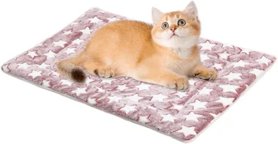 Produktbild von Selbstwärmendes warmes Hundebett für den Winter und Katzenbett | Tierkissen | Selbstheizendes Katzenbett für kleine Katzen und Heizmatte für Hunde