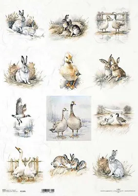 Image de Papier de riz pour planches de découpage A3 1189L Lapins, oies, lapins