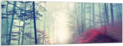 Produktbild von Bilder auf glas - Wald Baum Natur - 160x50cm - Glasbilder - Wandbilder - Kunstdruck - zum Aufhängen bereit - Wanddekoration aus Glas - Glas Bilder - Wandbild auf Glas - Einteilig - GAB160x50-3667