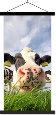 Produktbild von MuchoWow® Textilposter Kuh - Bauernhof - Gras - Tiere 90x180 cm mit schwarzem Rahmen - Dekoration Wohnzimmer