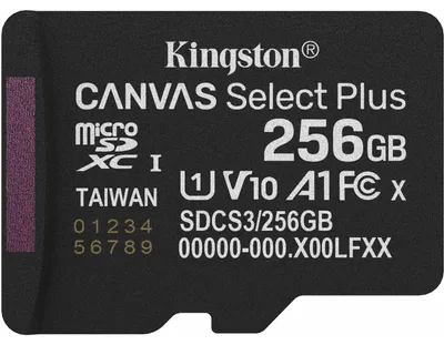 Produktbild von Canvas Select Plus 256 GB MicroSDXC (schwarz, UHS-I U1, Class 10, V10)