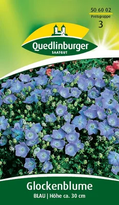 Produktbild von Quedlinburger Saatgut - Glockenblume Blau - Samen - 506002