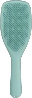 A teal hairbrush is shown against a white background.