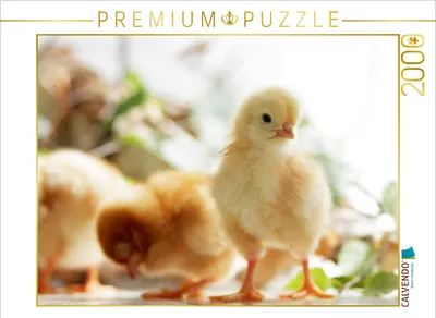 Produktbild von CALVENDO Puzzle Ich passe auf Euch auf 2000 Teile Puzzle quer | 2000 Teile Lege-Größe 90x67cm Foto-Puzzle für glückliche Stunden