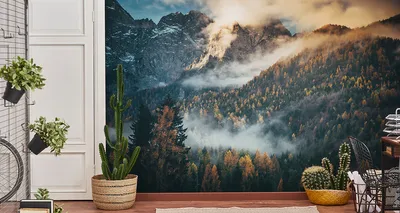 Obrázok produktu pre Vliesová fototapeta les v hmle 90 cm (Š) x 60 cm (V) nástenná dekorácia