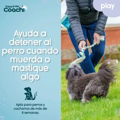 Obrázok produktu pre Postroj pre psa Coachi
