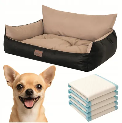 Produktbild von Doggy Joker Lite Hundebett wasserdicht 65x50cm Beiger mit Matten