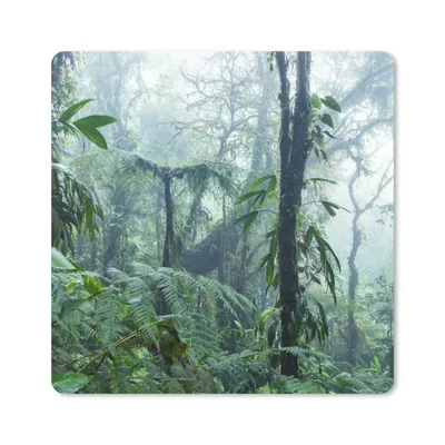 Produktbild von MuchoWow® Mauspad Mousepad Nebliger Regenwald in Costa Rica 20x20 cm - Mousepads - Maus Mat - Pad - Mausunterlage - Desk Mat - Bureauartikeln