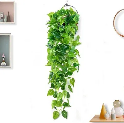 Image de Lierre artificiel - 110 cm - Intérieur - Salon, chambre - Plastique