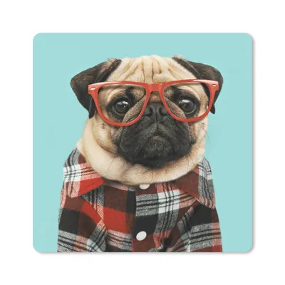 Produktbild von MuchoWow® Mauspad Mousepad Hund - Hipster - Brille - Bluse 20x20 cm - Mousepads - Maus Mat - Pad - Mausunterlage - Desk Mat - Bureauartikeln