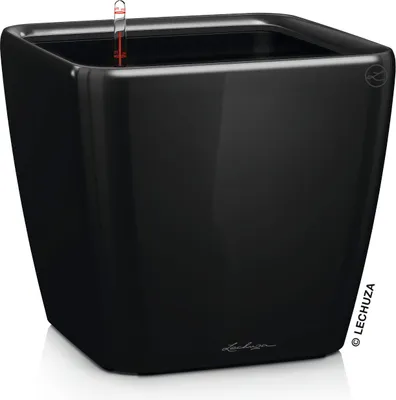 Produktbild von LECHUZA-Pflanzgefäß QUADRO Premium LS 21 Schwarz Hochglanz | Pflanzgefäß mit Bewässerungssystem | Hochglanz-Oberfläche | 22,5 x 22,5 x 20,5 cm | 16129