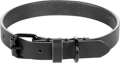 Produktbild von Flamingo Halsband Leano schwarz, Maße: 36 - 44 cm / 20 mm
