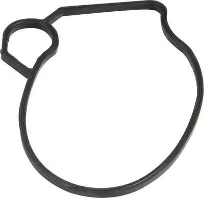 Produktbild von Schwimmerkammerdichtung für Vergaser Mikuni - Citomerx Ersatzteil für CPI, Generic, Keeway, Yamaha, MBK, SYM, Peugeot, K