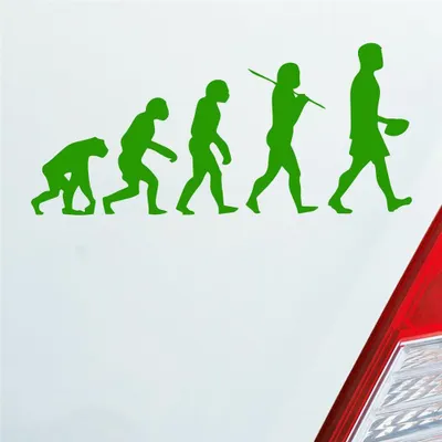 Produktbild von Auto Aufkleber Evolution Football Sport Ball 20x10 cm Hellgrün Sticker Heckscheibenaufkleber