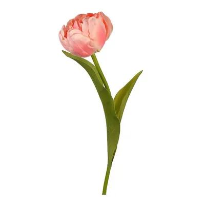 Produktbild von Kunstblume, Seidenblume TULPEN/Tulpe 1 Stück 45cm APRICOT