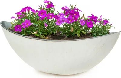Produktbild von Große Pflanzschale oval 55 cm für draussen Dekoschale creme-weiss