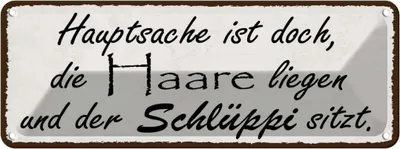 Produktbild von vianmo Blechschild 10x27 cm Hauptsache doch die Haare liegen Spruch Zitat