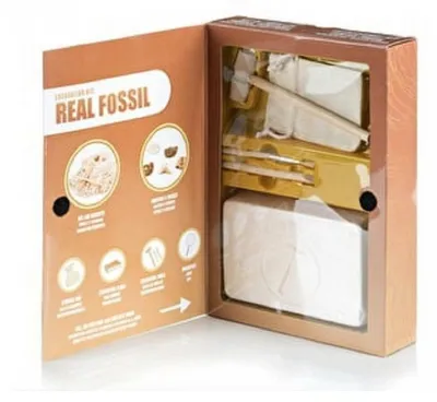 Immagine prodotto di Keycraft Kit ricerca fossili Magnoidz