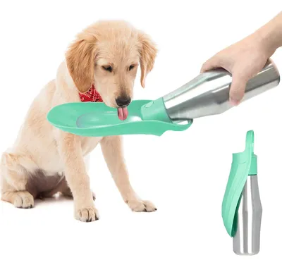 Hundetrinkflasche 750 ml Edelstahl auslaufsicher