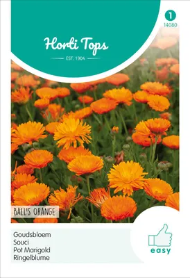 Obrázok produktu pre Kvet nazývany "Ringelblume Ball's Orange" | Semená kvetu "Ringelblume" od spoločnosti Hortitops