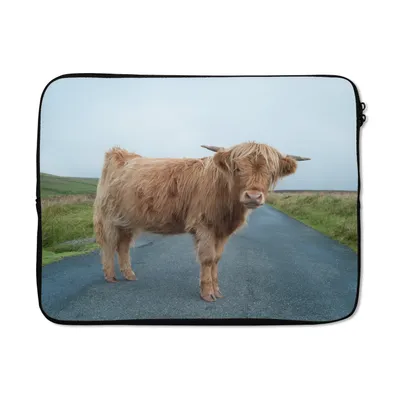 Produktbild von MuchoWow® Laptop Hülle 15 Zoll Scottish Highlander - Straße - Gras Laptoptasche - Laptoptasche - Sleeve - Rundum-Schutz