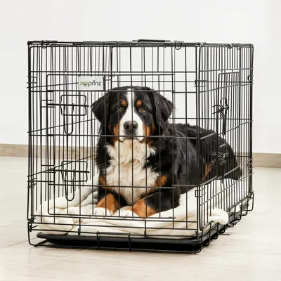 Produktbild von Hunde Transportbox Hundekäfig XXL zooprinz | Faltbar & Kunststoffwanne | große Hunde | 122 × 74,5 × 80,5 cm | Tragegriff Gitter Box