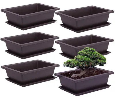 Immagine prodotto di Elzusha - Set di 6 vasi da allenamento per bonsai con vassoio