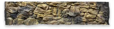 Image de Fond d'Aquarium 3D pour Décoration de Terrarium