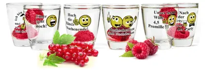 Produktbild von 6 Schnapsgläser Tequilagläser mit Sprüchen Shots Stamper Wodkagläser Barrel