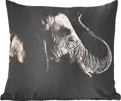 Produktbild von MuchoWow® Zierkissen Sofakissen Wohnzimmer Dekokissen 50x50 cm Elefant - Schwarz - Tiere - Natur - Komfort - Sofakissen