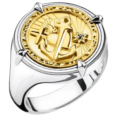 A product shot of a ring.