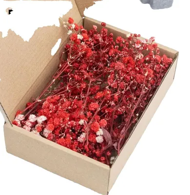 Obrázok produktu pre Gypsophila, sušené kvety, živé farby, všestranné kvetinové aranžmány, červená