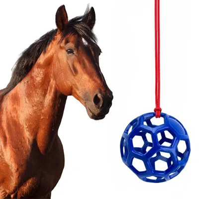 Heuball für Pferde, Ø 14 cm, hängend, langsames Füttern