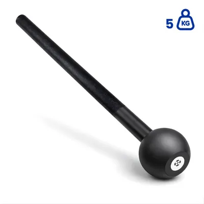 Image de Ensemble de haltères PH Fitness de 5 kg – Haltère professionnel pour l'entraînement de la force fonctionnelle, avec manche en acier, idéal pour le renforcement du tronc et des épaules, pour une utilisation à domicile ou en salle de sport