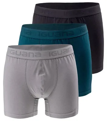 Image de Iguana - Boxer pour hommes, modèle "Presto" (lot de 3) IG5618 (Taille S) (Gris clair/Vert foncé/Noir)