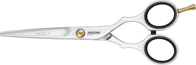 Produktbild von Jaguar HS Schere 5.5 82655 Pre Style Ergo P