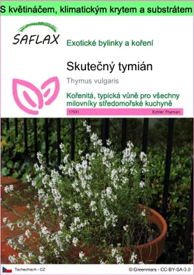 Obrázek produktu pro SAFLAX Garden to go - Skutečný tymián - Thymus vulgaris - 200 Semena - S květináčem, klimatickou poklicí a pěstebním substrátem