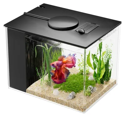 Mini-Aquarium 3,7 l Acryl Komplettset mit Filter und LED