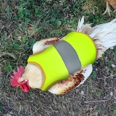 Produktbild von Reflektierende Weste für Hühner - Geflügel Hühnersattelschürze mit verstellbarem Riemen für Hühner und Enten
