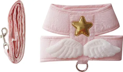 Obrázok produktu pre Postroj pre mačky Vodítko nastaviteľné 4-sezónne univerzálne Cute Angel Wing Vest s 1,5 m ťažným lanom pre mačiatka Svetlo ružová XXL (4-6 kg / 8,8-13,2 lb)