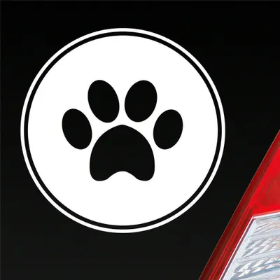 Produktbild von Auto Aufkleber Pfote Paw Dog Hund Tier Haustier Abdruck 10x10 cm Weiss Glanz Sticker Heckscheibenaufkleber