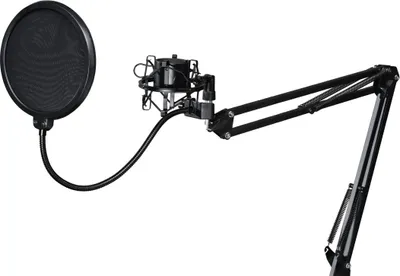 Image de Bras de microphone "Stream 210 Boom"