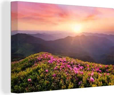 Obrázok produktu pre OneMillionCanvasses® - Obrazy na plátne - 140x90 cm, Kvety - Hory - Západ slnka - Krajina, Nástenná umelecká tlač Nástenná dekorácia - Fotografia na plátne - Obraz na drevenom ráme